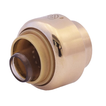 Legend Valve 1" PUSH FIT TEST CAP 456-485NL